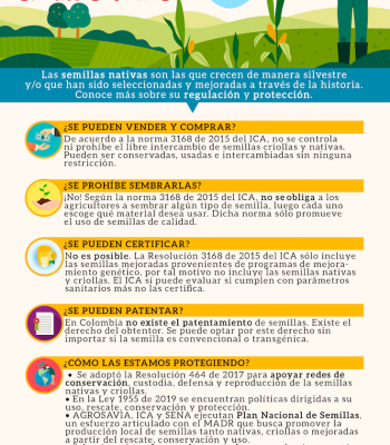 Infografia sobre semillas nativas