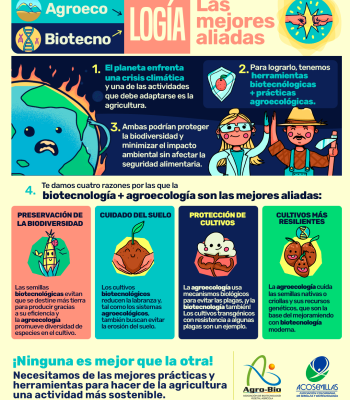 Transgénicos y agroecología